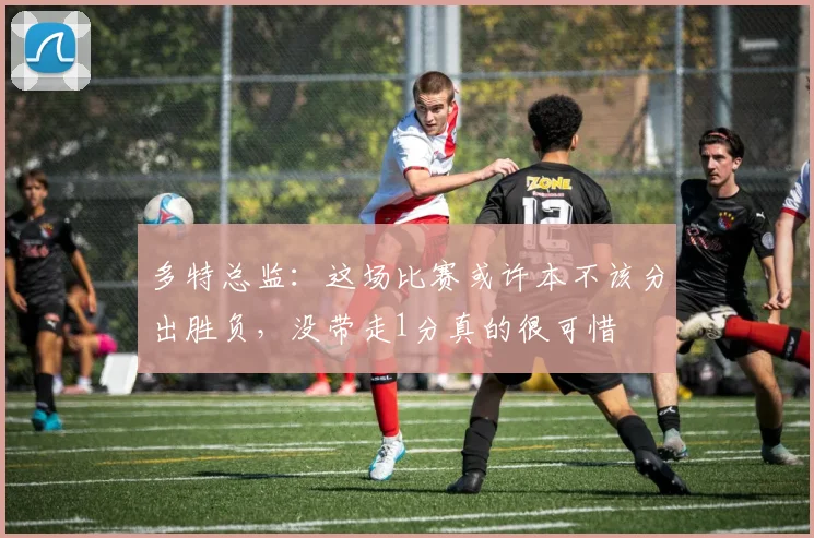 多特总监：这场比赛或许本不该分出胜负，没带走1分真的很可惜
