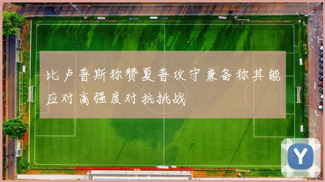 比卢普斯称赞夏普攻守兼备称其能应对高强度对抗挑战