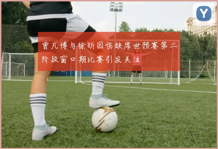 曾凡博与徐昕因伤缺席世预赛第二阶段窗口期比赛引发关注