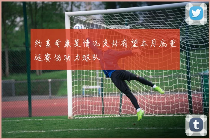 约基奇康复情况良好有望本月底重返赛场助力球队