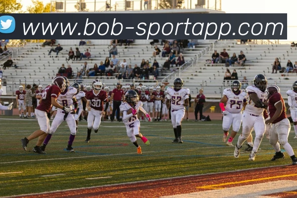 多媒体互动体验